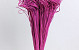 Curly Ting rose foncé 300 Tiges