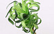 Foam Plant 45cm green
