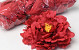 Peony Red D18cm