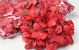 Tête d'Hortensia Rouge Artificielle D16cm
