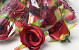 Rose D6cm Red