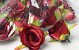 Rose D6cm Rouge