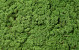 Reindeer Moss Medium Green per kg