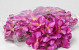 Hydrangea Head D16cm Purple