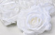 Rose Satin White D11cm 