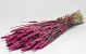 Bouquet Triticum Rose (blé) 70cm