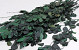 Beech Leaves green 