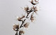 Foam Blossom 75cm White/Mocca