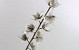 Fleur en mousse Blanc/Gris, D 11cm