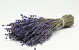Gedroogde lavendel 70gr, 25cm