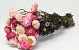 Bouquet Helichrysum Ouvert Rose 45cm