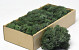 Reindeer Moss Dark Green 500g.