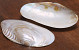 Parelmoer Schelp 20cm