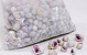 Coquillages Violet 1kg