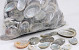 Schelpen Halliotes 1kg