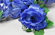 Rose Bleu D10cm