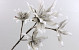 Blüte Schaumstoff Grau 85cm 