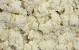 Lichen stabilisé Blanchi par kg