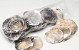 Placuna Shells 30-Pack