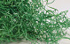Houtwol Groen 1,5kg
