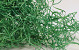 Houtwol Groen 1,5kg