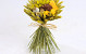 Bouquet Séchée d10cm jaune