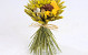 Small Bouquet d10cm Yellow