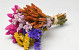 Bouquet de Fleurs Séchées Coloré 25cm