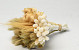 Dried Flower Bouquet White Natural 25cm