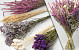 DIY Bouquet de Fleurs Sechées Blanc/Rose/Violet XL
