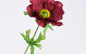 Chrysant Santini 40cm red