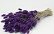 Bouquet Phalaris Violet 