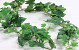 Garland Grape Leaves 150cm