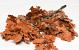 Oak Leaves Orange 50-60cm