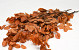 Beech Leaves Orange 80cm