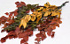 Feuille de Hêtre Mix 80cm 150gr.