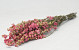 Bouquet Delphinium Rose 60cm