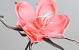 Blume Schaumstoff Rosa, D 20cm