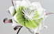 Foam Flower Green, D 20cm