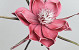 Blume Schaumstoff Dunkelrosa, D 20cm
