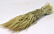 Bouquet Orge 65cm
