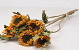 Mini Sunflower 5pcs