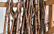 Birch Trunk Red 1m 3-5cm