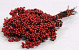 Pepperberries Red 25-35cm