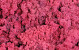 Rendiermos Fuchsia per kg