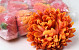 Chrysanthemum Orange/Yellow D13cm