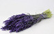 Bouquet Avoine Violet 70cm