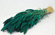 Setaria Emerald Green 65cm