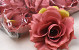 Rose Rosa D11cm 