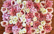 DIY Panneau de fleurs Rose/Blanc 80x60cm